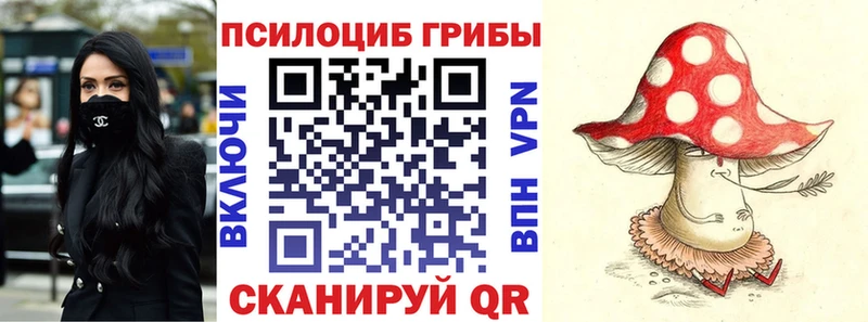 Галлюциногенные грибы MAGIC MUSHROOMS  Курган 