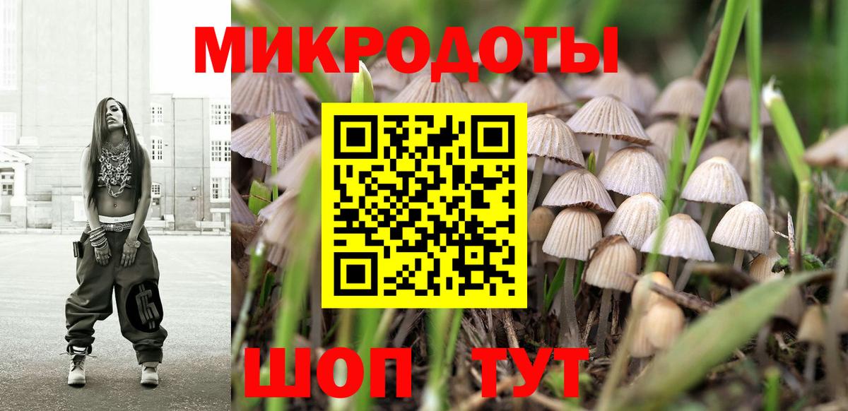 Галлюциногенные грибы Psilocybe  Курган 
