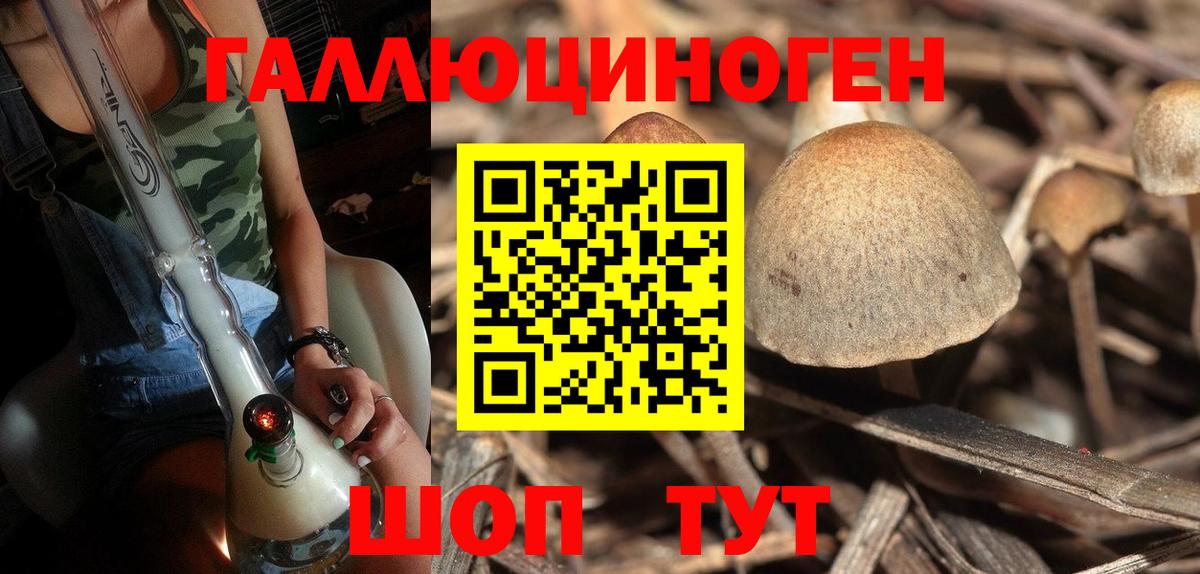 Псилоцибиновые грибы MAGIC MUSHROOMS  Вход с VPN  Курган 