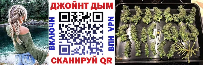 Бошки марихуана план  продажа наркотиков  Курган 